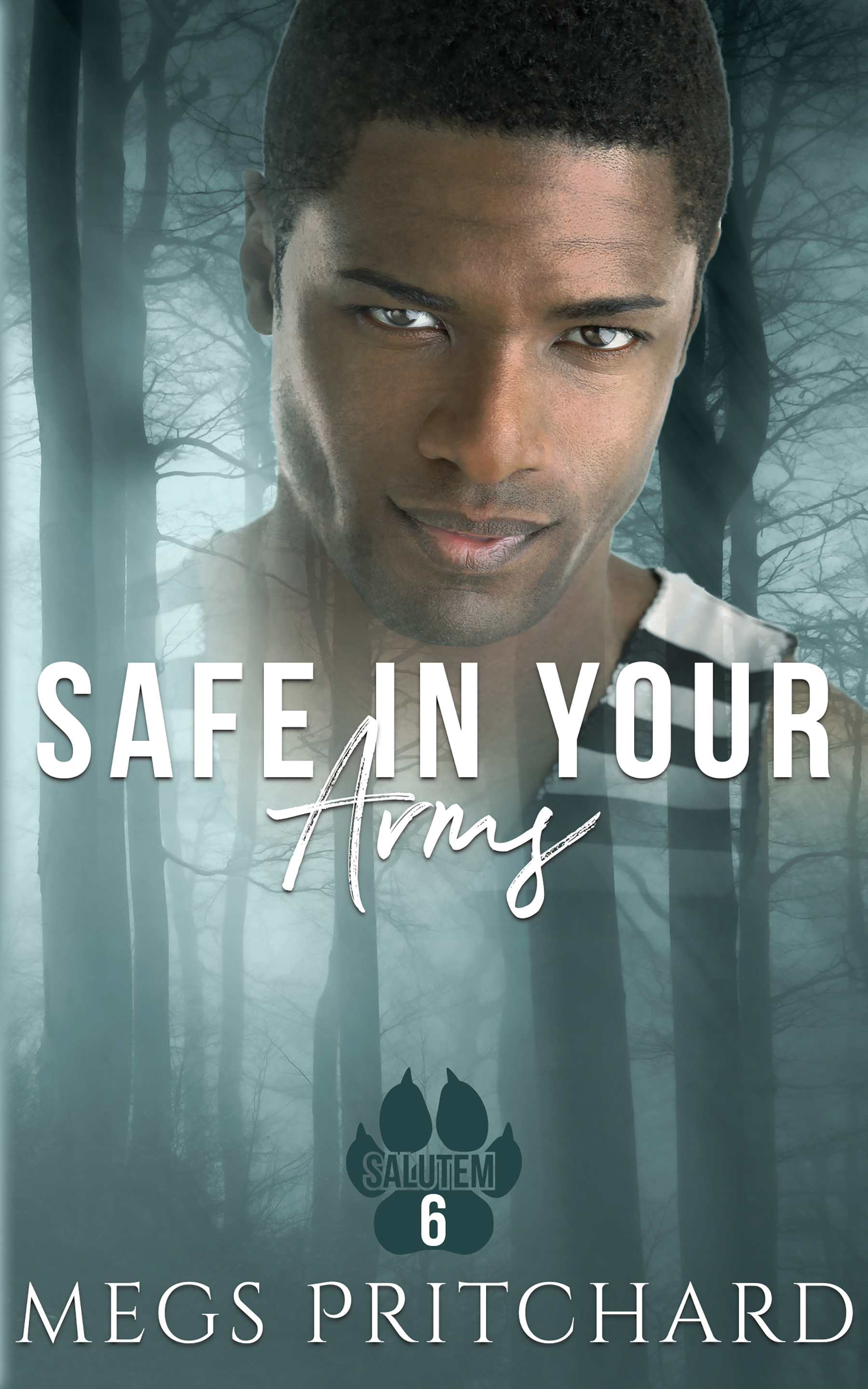 Safe in His Arms by Renae Kaye